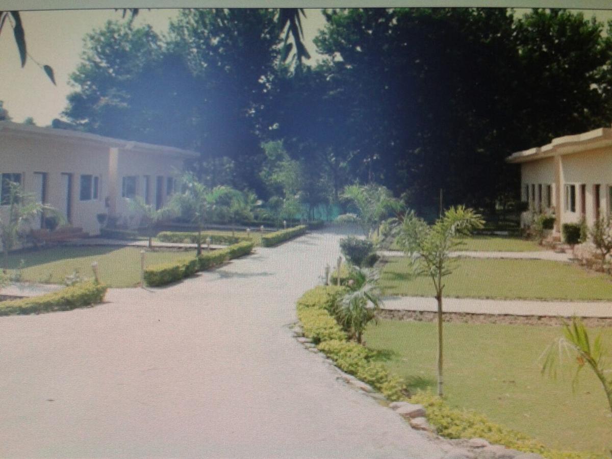 Kangs Nirvana Resorts And Spa Mahalpur Exteriér fotografie
